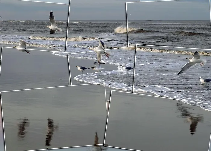 ホテル Restaurant Ennen 4*